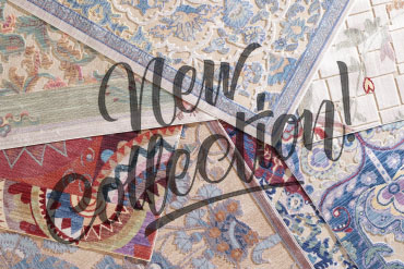Our New Collection